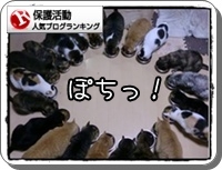 人気ブログランキング