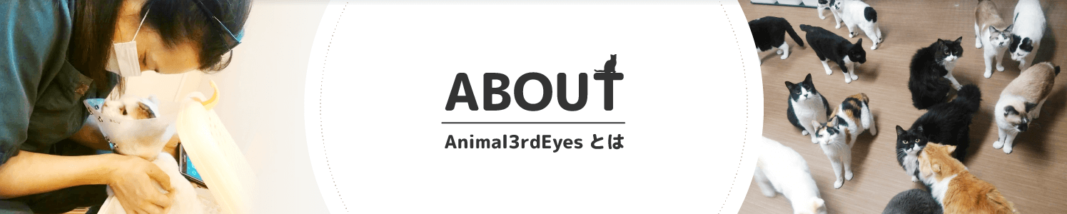 Animal 3rd Eyesとは
