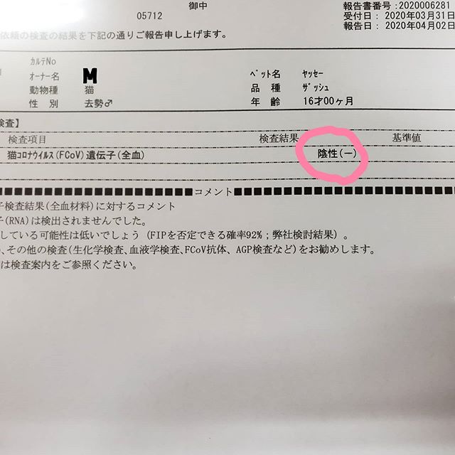 速報】ｷﾀ━(ﾟ∀ﾟ)━( ﾟ∀)━( ﾟ)━( )━!!!!! 嬉しすぎて涙出る。支え 